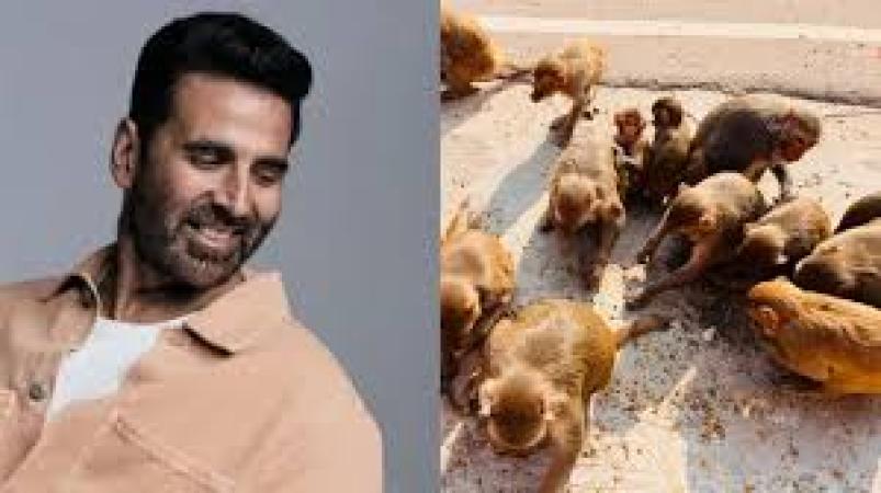 Akshay Kumar's special Diwali present to the Ayodhya monkeys